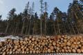 Инвестиции в лесной бизнес, пассивный доход в Москве